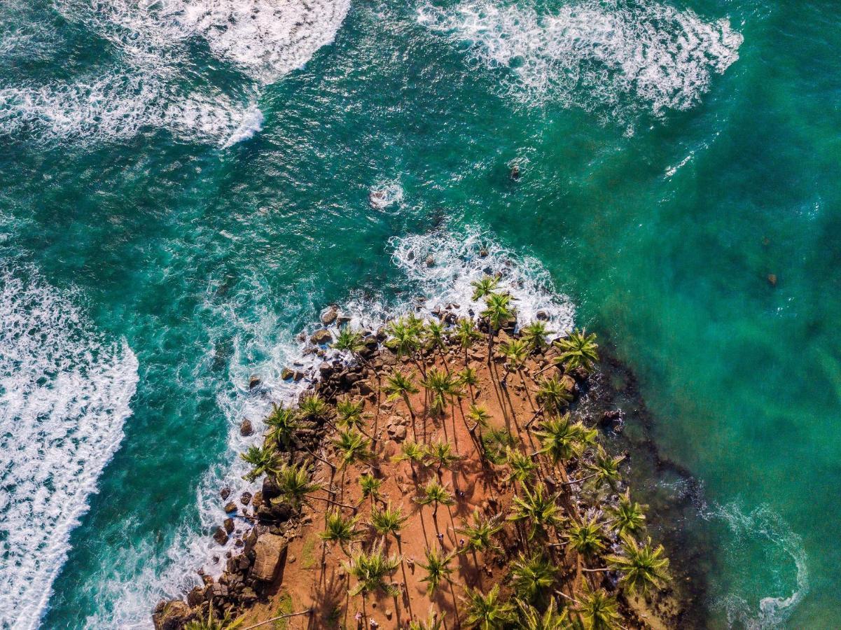 Hotel Coco Mount Mirissa Matara Zewnętrze zdjęcie